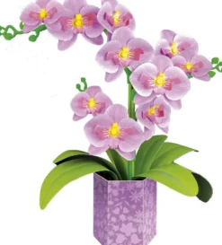 ART FLORAL D'ORCHIDEES