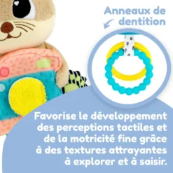 ARTY LA LOUTRE