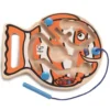 AVANCEZ LES POISSONS