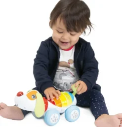 BABY SENSES - CHIEN DOGREMI PARLANT RADIOCOMMANDE