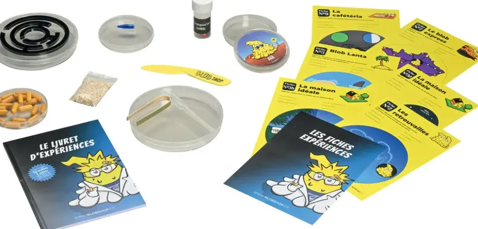 BLOB LE COFFRET DE REVEIL D'EXPERIENCES ET D'ACTIVITES
