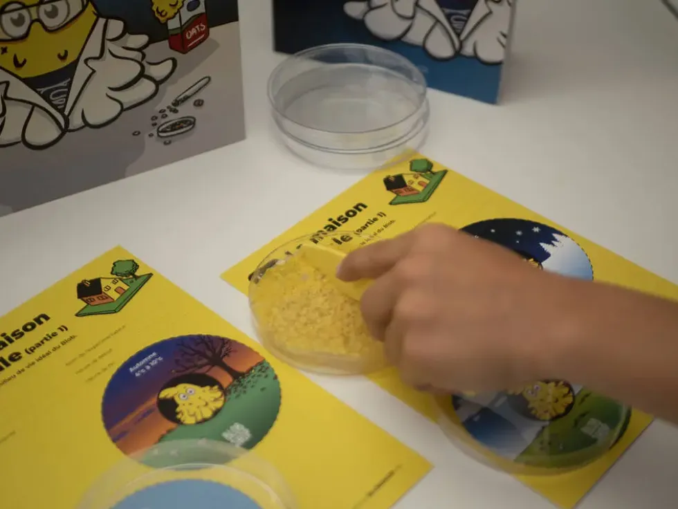 BLOB LE COFFRET DE REVEIL D'EXPERIENCES ET D'ACTIVITES