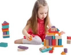 BLOCS DE CONSTRUCTION - 100 PIECES