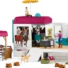 CAMPING CAR EQUESTRE