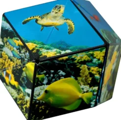 CASSE -TETE 3D - SHASHIBO OCEAN