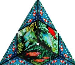 CASSE -TETE 3D - SHASHIBO OCEAN