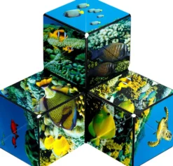 CASSE -TETE 3D - SHASHIBO OCEAN