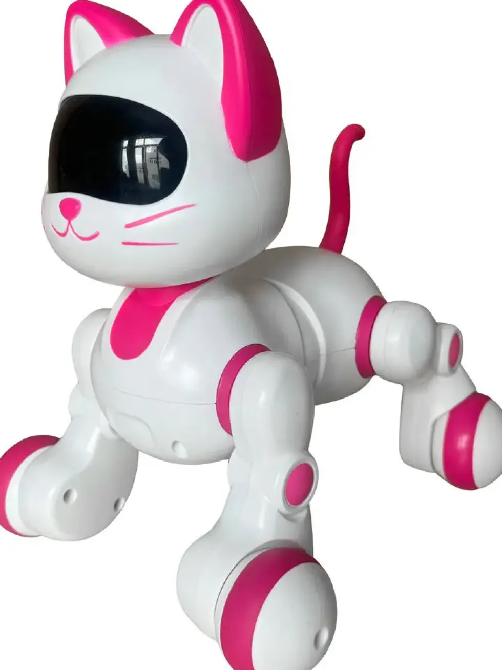 CHAT ROBOT RADIOCOMMANDE