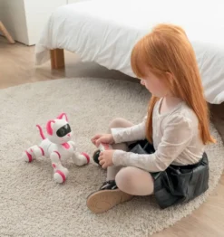 CHAT ROBOT RADIOCOMMANDE