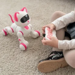 CHAT ROBOT RADIOCOMMANDE