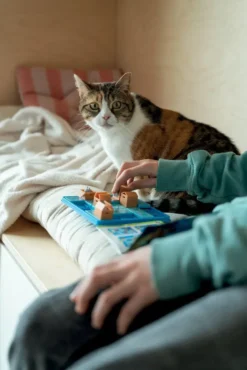 CHATS TOURNENT EN ROND