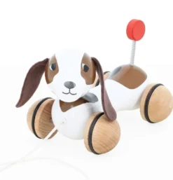 CHIEN A TRAINER SOT-SIX