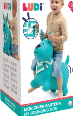 CHIEN SAUTEUR BLEU