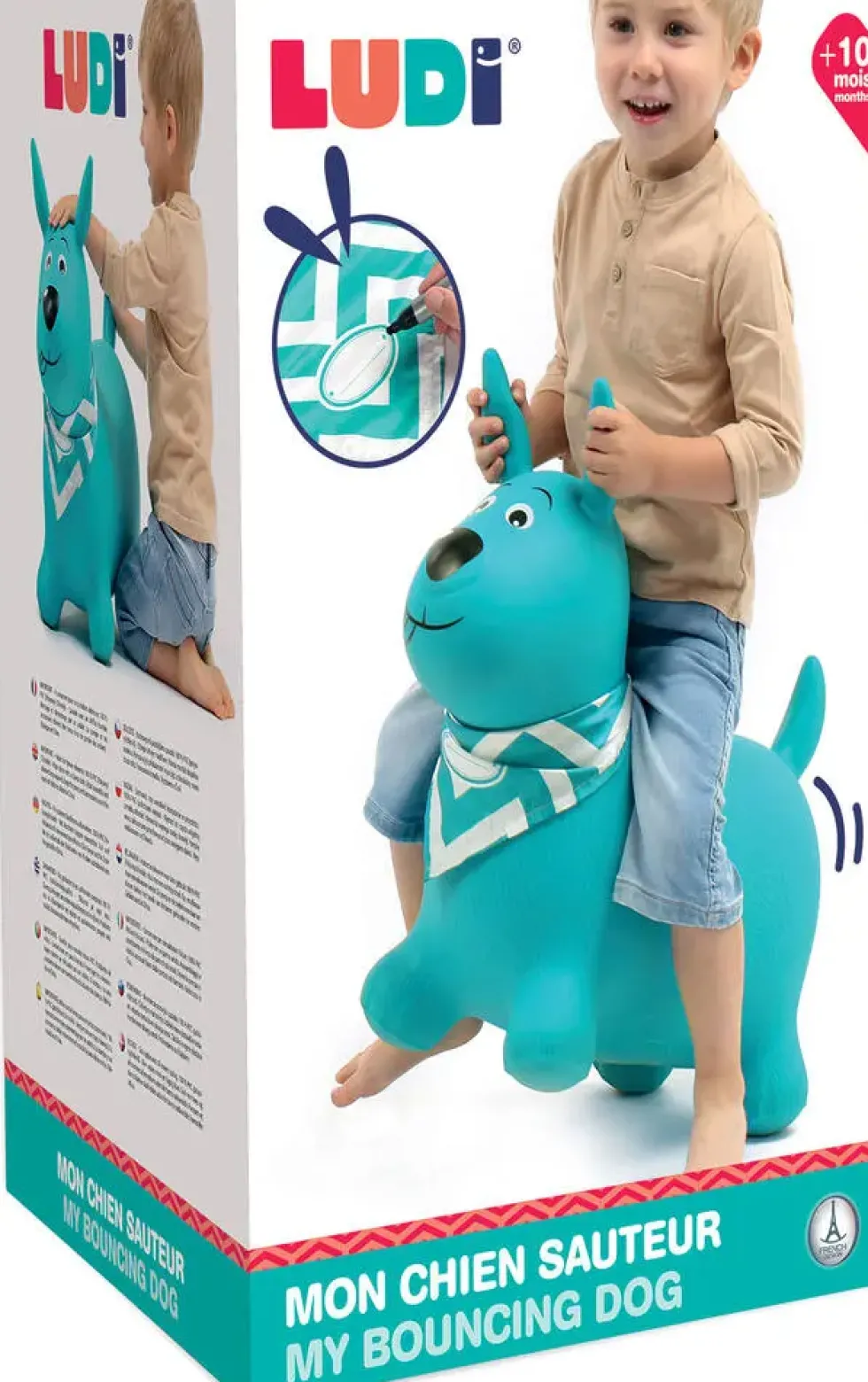 CHIEN SAUTEUR BLEU