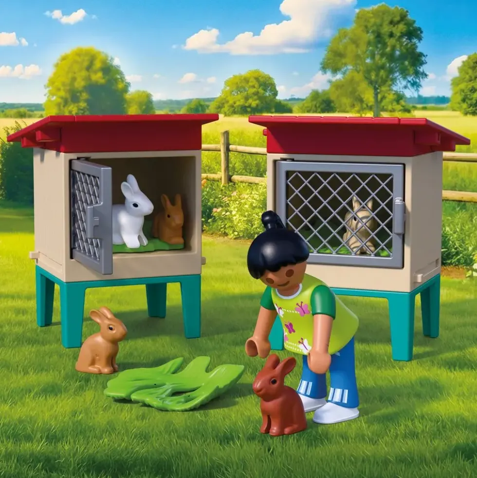 CLAPIER A LAPINS ET ACCESSOIRES 72170