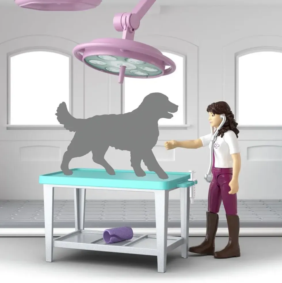 CLINIQUE VETERINAIRE POUR CHEVAUX
