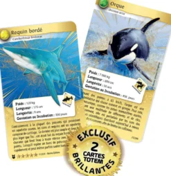 COFFRET ORQUE ET REQUIN - 4 BOOSTERS ET 2 CARTES TOTEMS