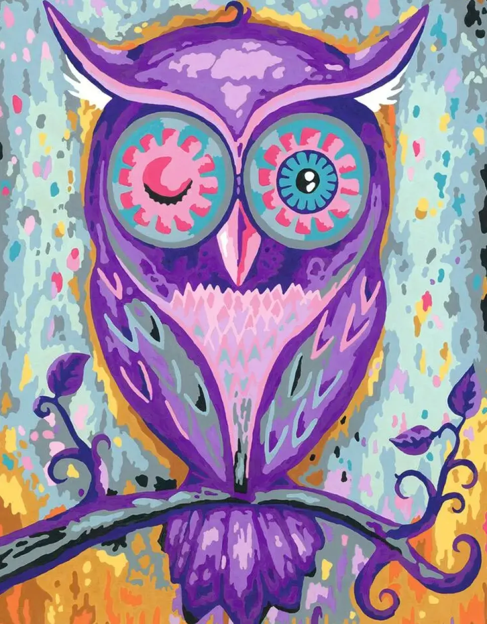 CREART - PEINTURE PAR NUMERO - 24 X 30 CM - HIBOU