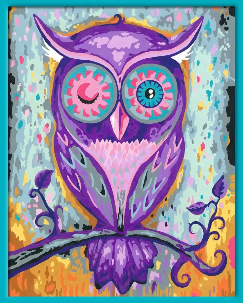 CREART - PEINTURE PAR NUMERO - 24 X 30 CM - HIBOU