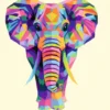 CREART - PEINTURE PAR NUMERO - 24 X 30 CM - ELEPHANT