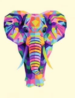 CREART - PEINTURE PAR NUMERO - 24 X 30 CM - ELEPHANT