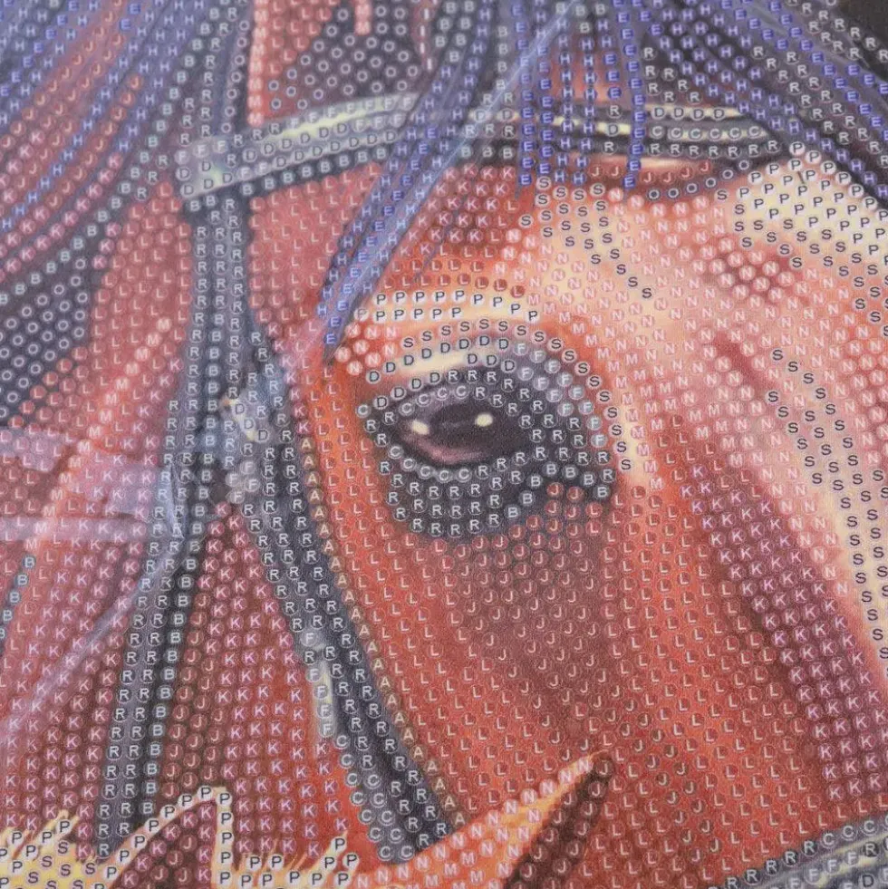 CRYSTAL ART - KIT POSTER A DIAMANTER 35 X 45 CM - CHEVAUX