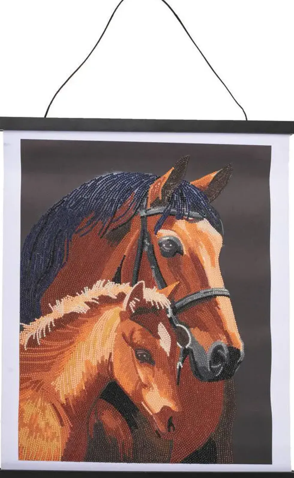 CRYSTAL ART - KIT POSTER A DIAMANTER 35 X 45 CM - CHEVAUX