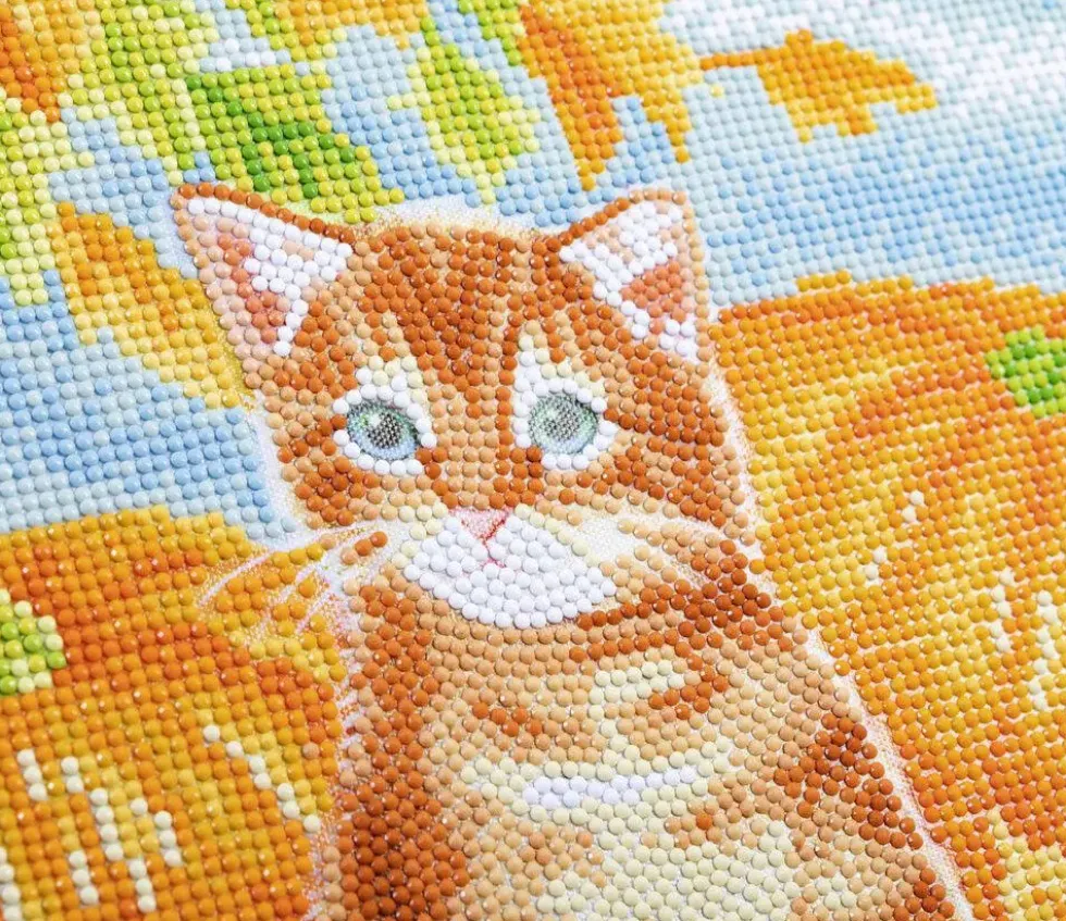 CRYSTAL ART KIT TABLEAU BRODERIE DIAMANT 30X30CM CHAT ET CIT