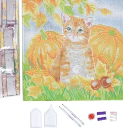 CRYSTAL ART KIT TABLEAU BRODERIE DIAMANT 30X30CM CHAT ET CIT