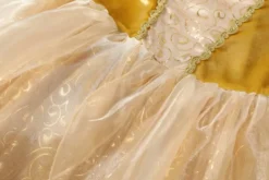 DEGUISEMENT REINE DU BAL TAILLE5-7 ANS