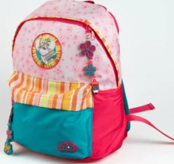 DIDDL -SAC A DOS ROSE