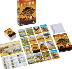 ECOSYSTEME - SAVANE