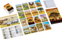 ECOSYSTEME - SAVANE