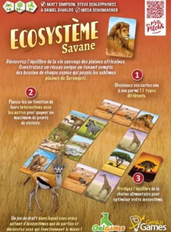 ECOSYSTEME - SAVANE