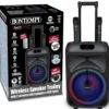 ENCEINTE 300 WATTS SANS FIL A ROULETTES + 2 MICROS