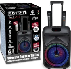 ENCEINTE 300 WATTS SANS FIL A ROULETTES + 2 MICROS