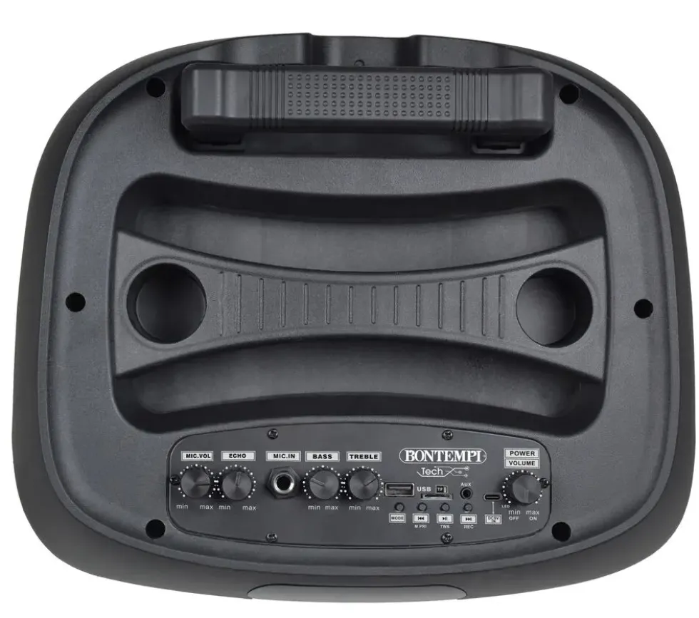 ENCEINTE 300 WATTS SANS FIL A ROULETTES + 2 MICROS