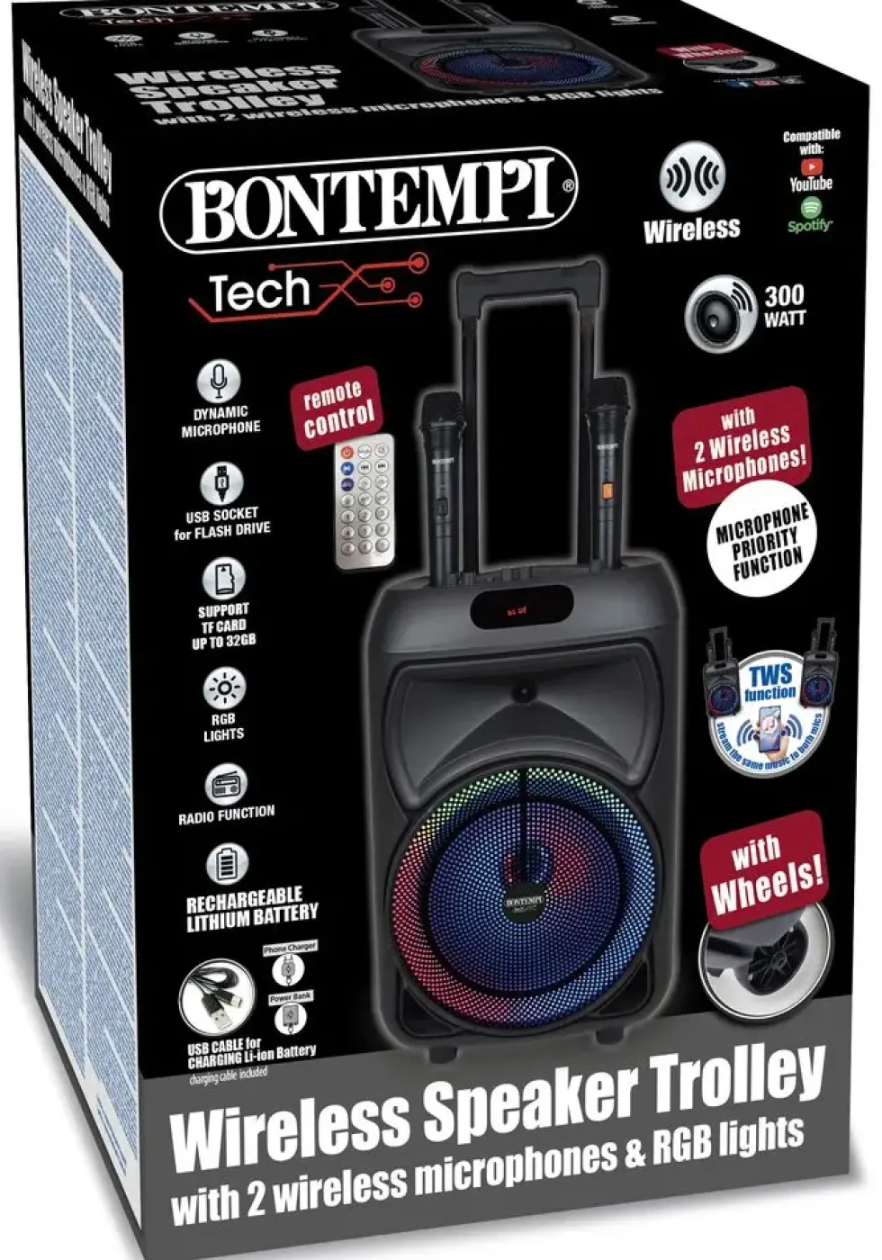 ENCEINTE 300 WATTS SANS FIL A ROULETTES + 2 MICROS
