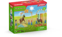 ENTRAINEMENT D'AGILITY POUR PONEY