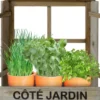 FENETRE JARDINIERE AVEC 3 POTS BAMBOO AVEC GRAINES ET SUBSTRAT 39.5X11X35 CM