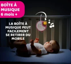 FIRST DREAMS - MOBILE NEXT2DREAMS ROSE