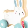 FISHER PRICE - LAPIN A POUSSER EN BOIS