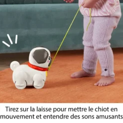 FISHER PRICE -MON CARLIN A PROMENER