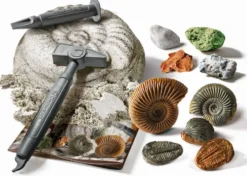 FOSSILES ET MINERAUX