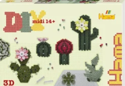 HAMA MIDI BOITE- ART CACTUS