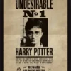 HARRY POTTER - CADRE 3D LENTICULAIRE SIRIUS BLACK