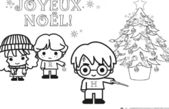 HARRY POTTER - CALENDRIER DE L'AVENT OFFICIEL - JOYEUX NOEL HARRY