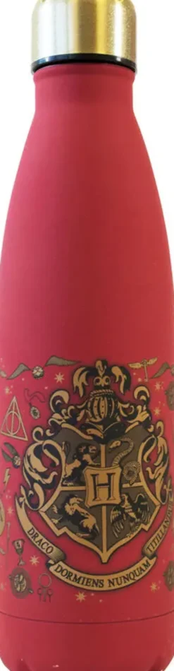 HARRY POTTER - COFFRET CADEAU MUG ET VIF D'OR