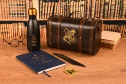 HARRY POTTER - COFFRET CADEAU - TROUBLE FINDS ME