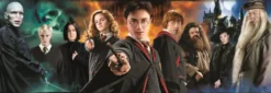 HARRY POTTER - PUZZLE COMPACT 1000 PIECES PANORAMA